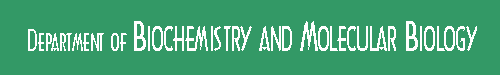 Department of Biochemistry and Molecular Biology